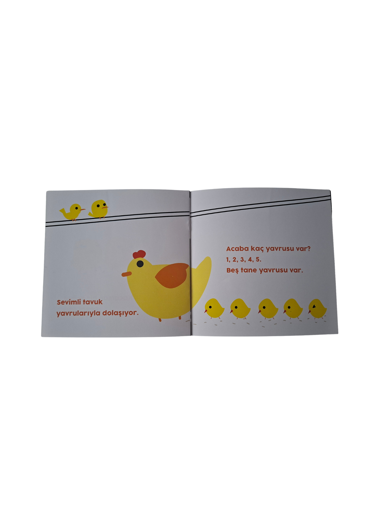 İlk Kitabım – Sapsarı Kitap