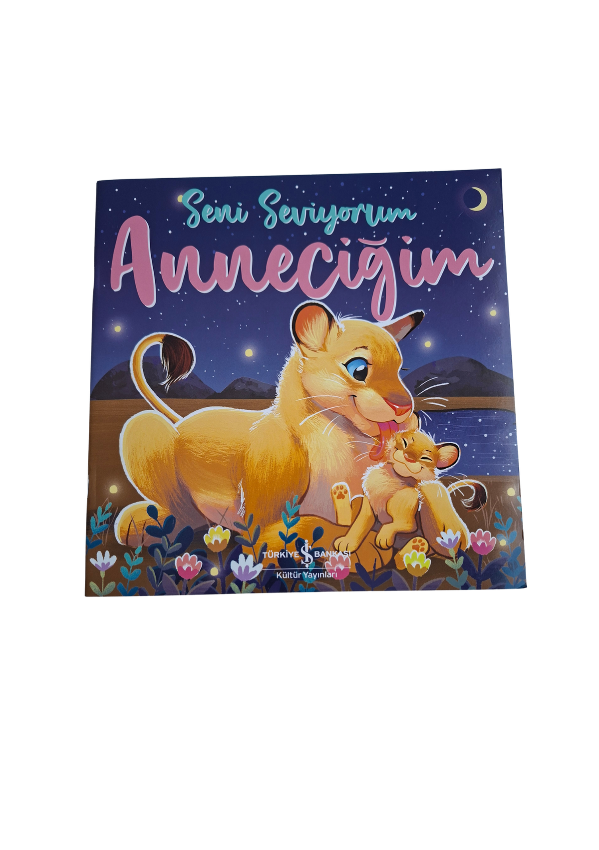 Seni Seviyorum Anneciğim